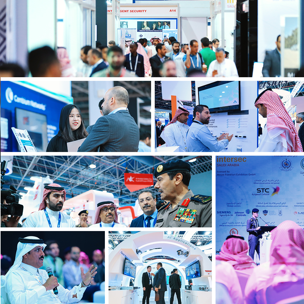 Show Highlights 2019